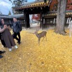 レス10番の画像1