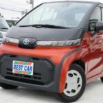 レス29番のリンク先のサムネイル画像