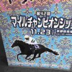 レス39番の画像1