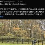 レス1番の画像2