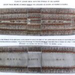 レス24番の画像1