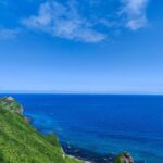 レス13番の画像2