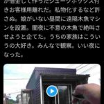 レス20番の画像3