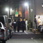 レス2番のリンク先のサムネイル画像