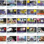 レス23番の画像1