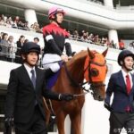 レス12番の画像5