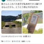 レス3番の画像1