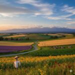 レス28番の画像1