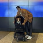 レス41番の画像1