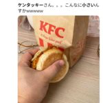 レス89番の画像1