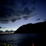 レス45番の画像1