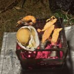 レス41番の画像1