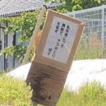 レス3番の画像2