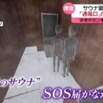 レス2番のリンク先のサムネイル画像