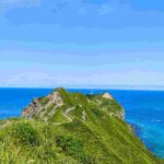 レス13番の画像1