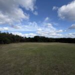 レス12番の画像1