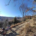 レス27番の画像1