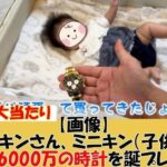 レス30番の画像2