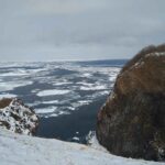 レス19番の画像1