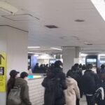 レス49番の画像1