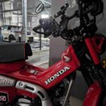 レス233番の画像1