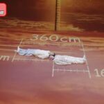 レス29番の画像2