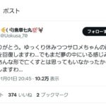 レス11番の画像1