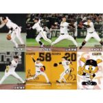 レス16番の画像1