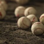 レス22番のリンク先のサムネイル画像