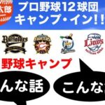 レス2番のリンク先のサムネイル画像