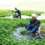 レス30番の画像1