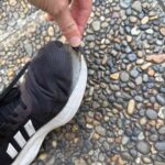 レス16番の画像1