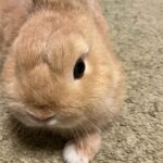 レス7番の画像1