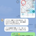 レス1番の画像16