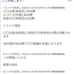 レス110番の画像2