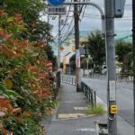 レス30番の画像1