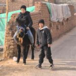 レス48番の画像1