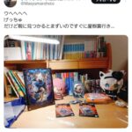 レス9番の画像1