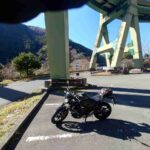 レス13番の画像1