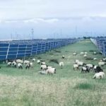 レス1番の画像4