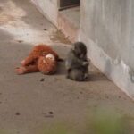 レス1番の画像4