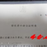 レス17番の画像1