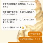 レス1番の画像2