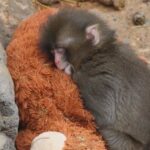 レス1番の画像3