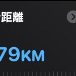 レス16番の画像1