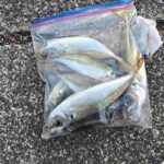 レス16番の画像1