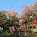 レス25番の画像1