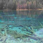 レス1番の画像5