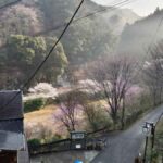 レス4番の画像1