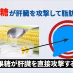 レス51番の画像1